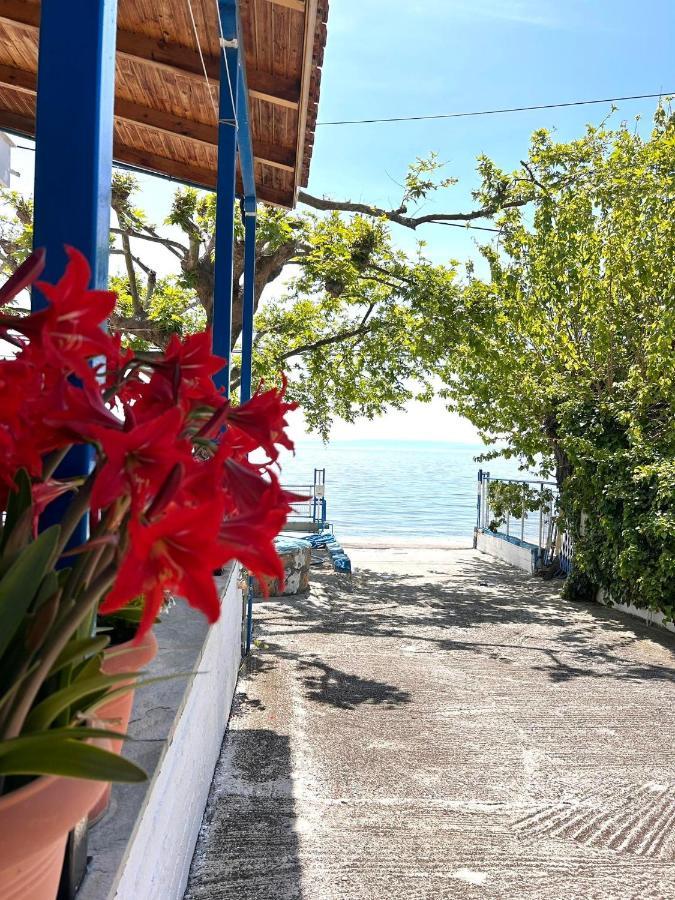 Hotel Αγκυροβόλιο à Ília Extérieur photo